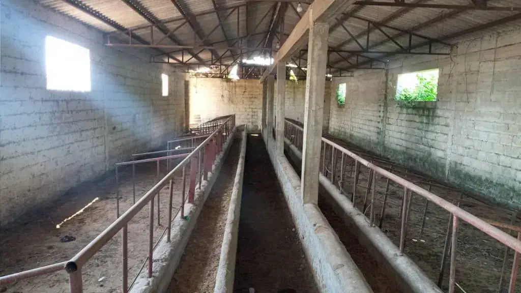 مشارکت د گاوداری گوشتی سرمایه از شما گاوداری از من|استخدام مالی، حسابداری، حقوقی|چهاردانگه (تهران), |دیوار