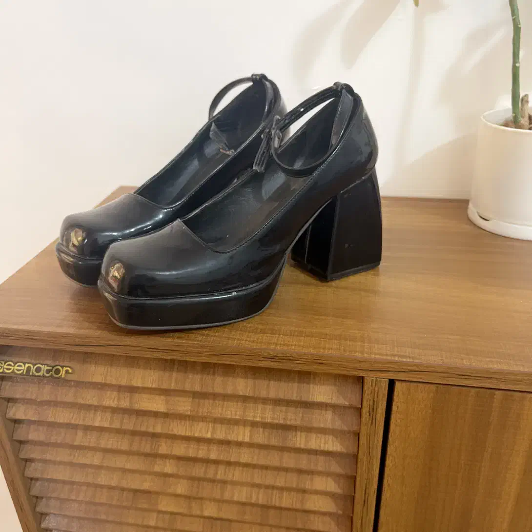 کفش مجلسی|کیف، کفش، کمربند|زابل, |دیوار