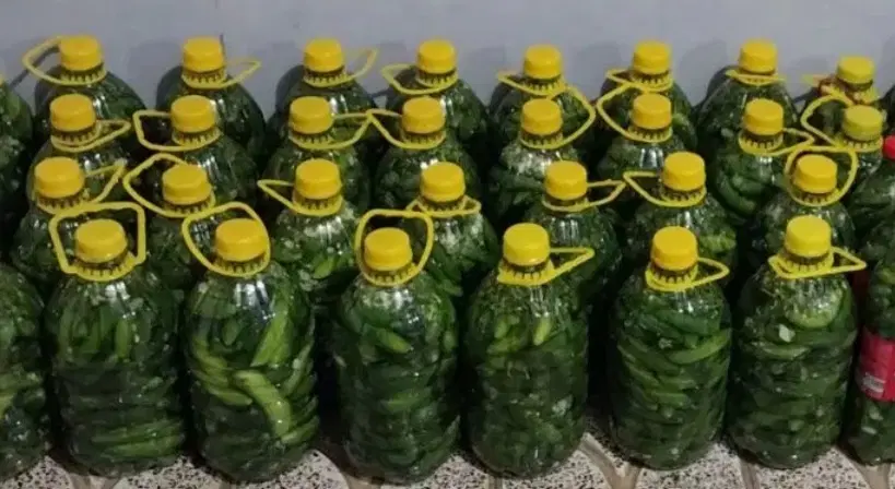 خیار|خوردنی و آشامیدنی|بروجرد, |دیوار