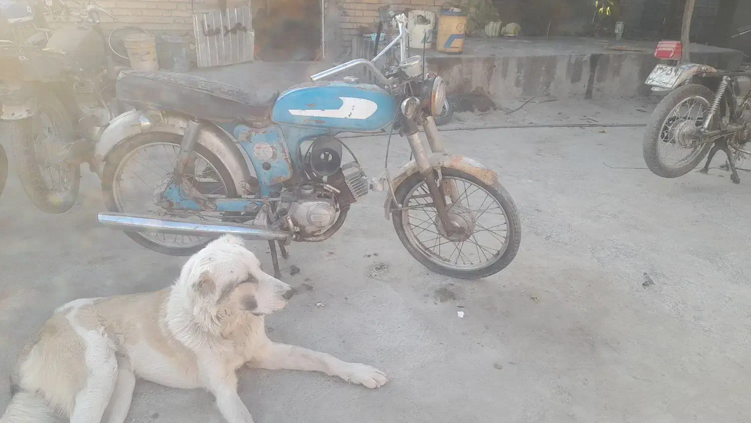 فروش یاماها روشن ببر|موتورسیکلت|سیمین شهر, |دیوار