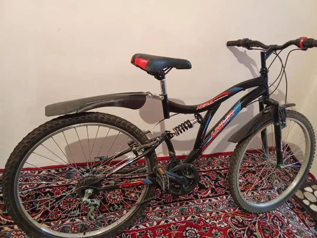 دوچرخه دنده ای|دوچرخه، اسکیت، اسکوتر|دشتک, |دیوار