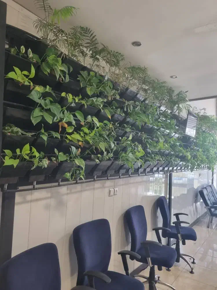 گلدان دیوار سبز یا گرین وال|خدمات باغبانی و درختکاری|کرمان, |دیوار