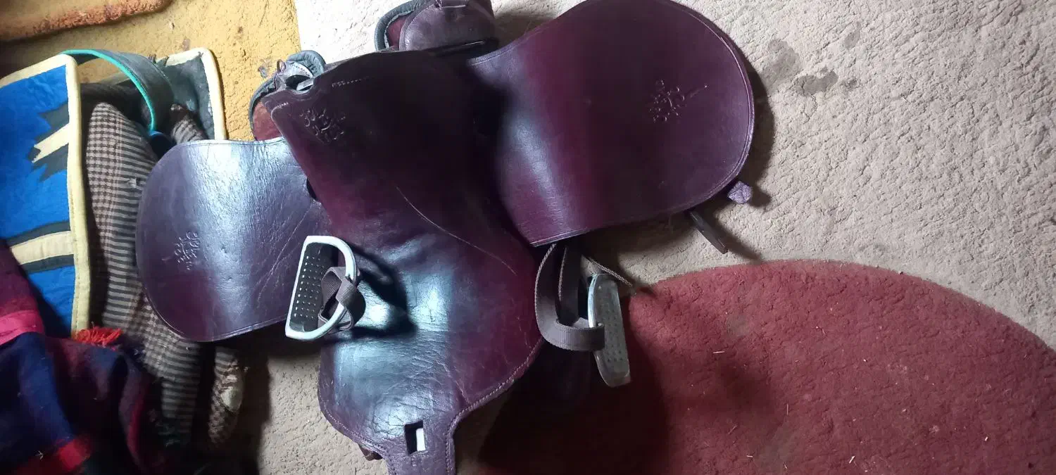 دزفول|اسب و تجهیزات اسب‌سواری|شوش, |دیوار