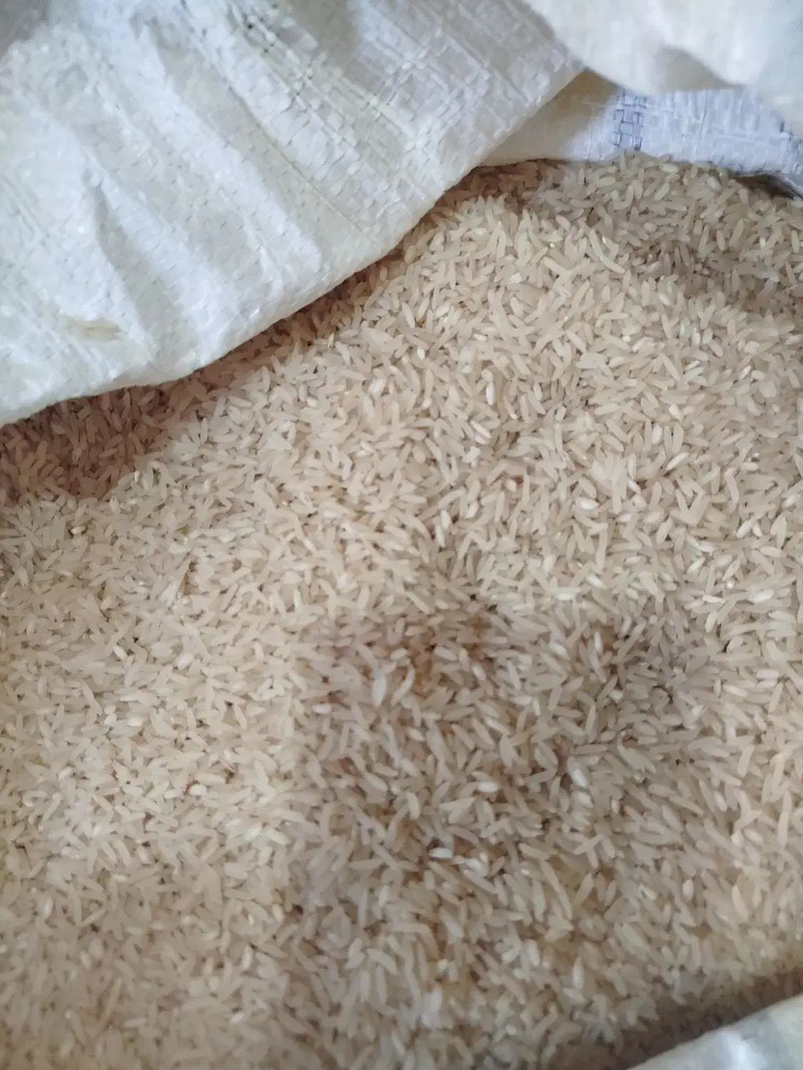 برنجامساله فجر|خوردنی و آشامیدنی|مزرعه کتول, |دیوار