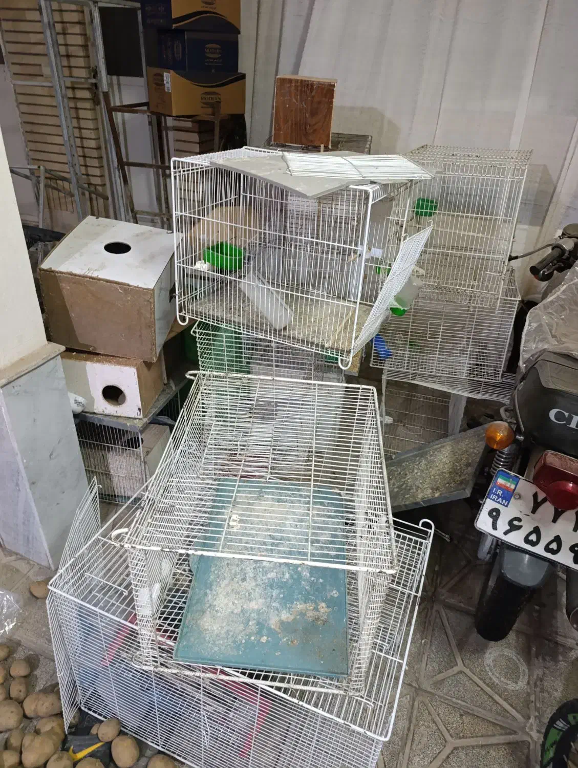 قفس پرنده عروس کبوتر و..|لوازم جانبی حیوانات|نیشابور, شهرک ولیعصر|دیوار