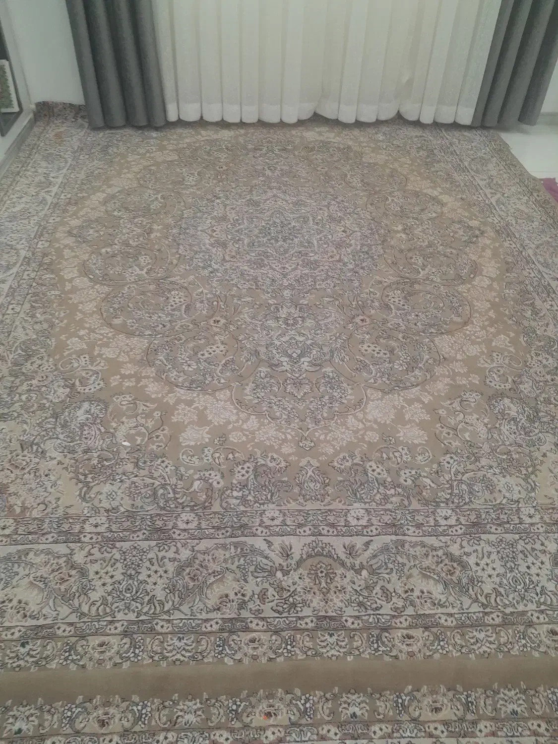 فرش ۱۲ متری|فرش|ساوه, |دیوار