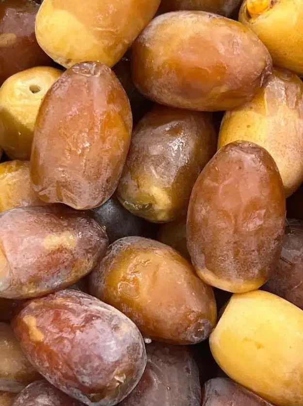 رطب و خرمای  کبکاب اعلا|خوردنی و آشامیدنی|شیراز, جوادیه|دیوار