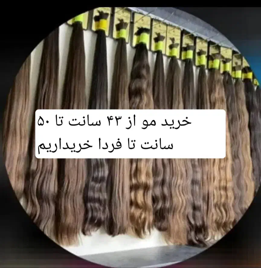 موی شما را به بالاترین قیمت خریداریم|خدمات آرایشگری و زیبایی|مشهد, گلشور|دیوار