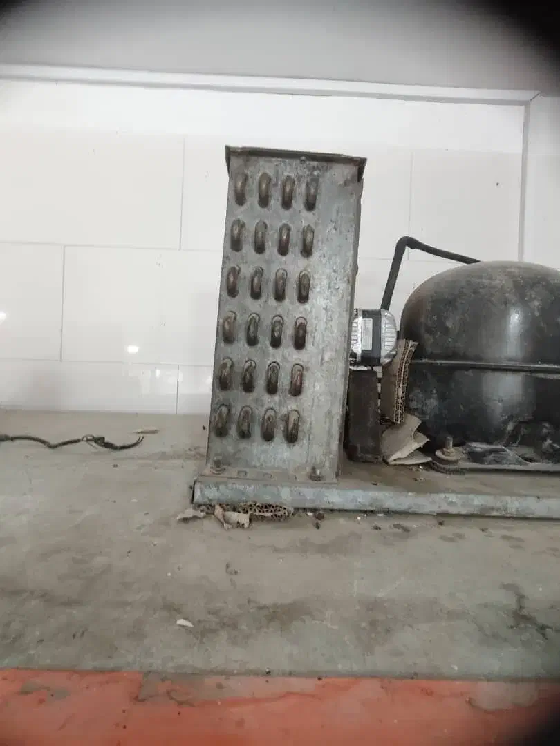 یخچال قصابی|فروشگاه و مغازه|گیان, |دیوار