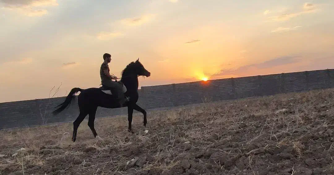 زمین در شاهین شهر با سند تک برگ و اقساط|فروش زمین و ملک کلنگی|شاهینشهر, شهرک میلاد|دیوار