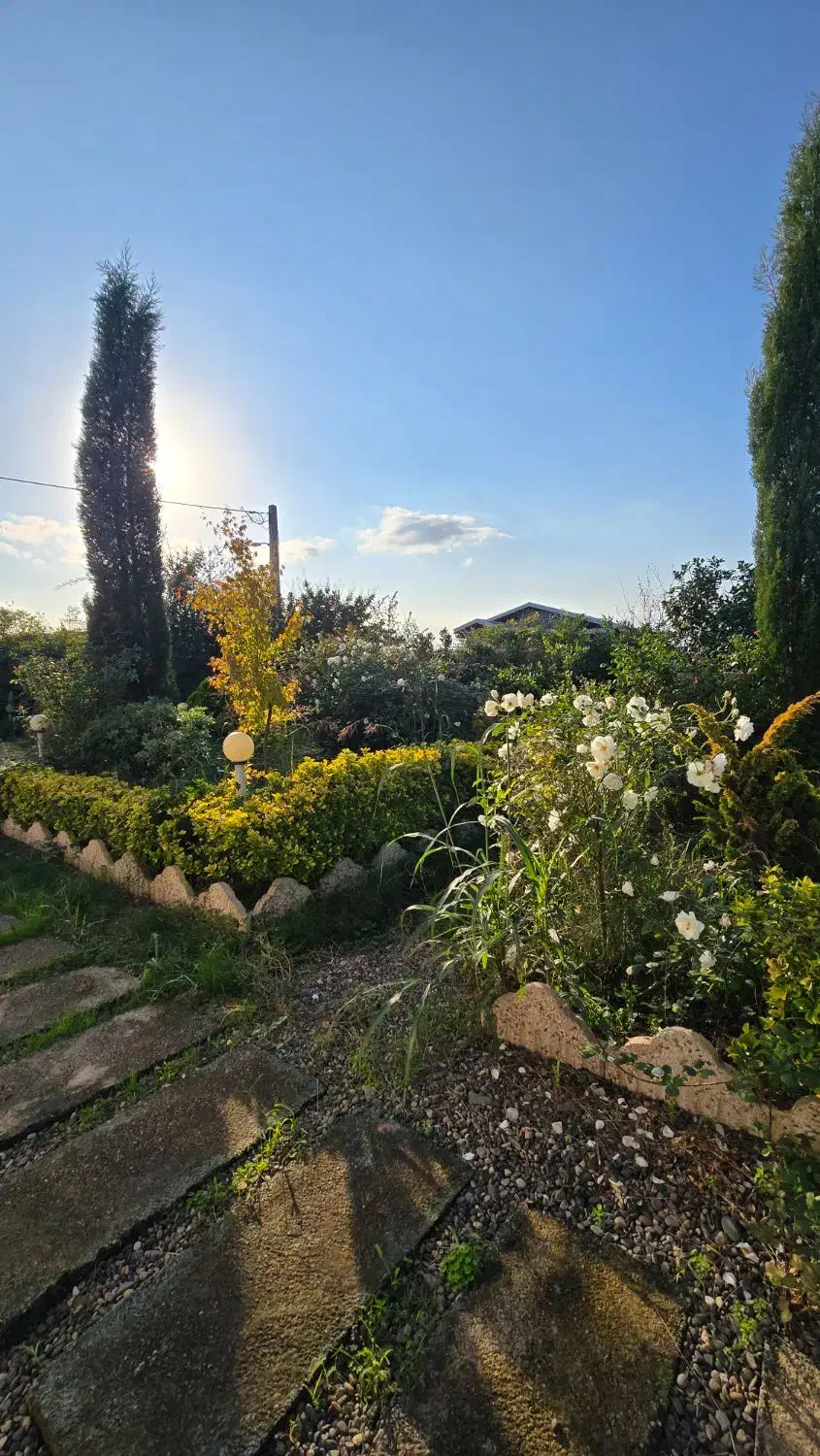 ویلاباغ 700متری/VilaBest|فروش خانه و ویلا|رشت, دیلمان|دیوار