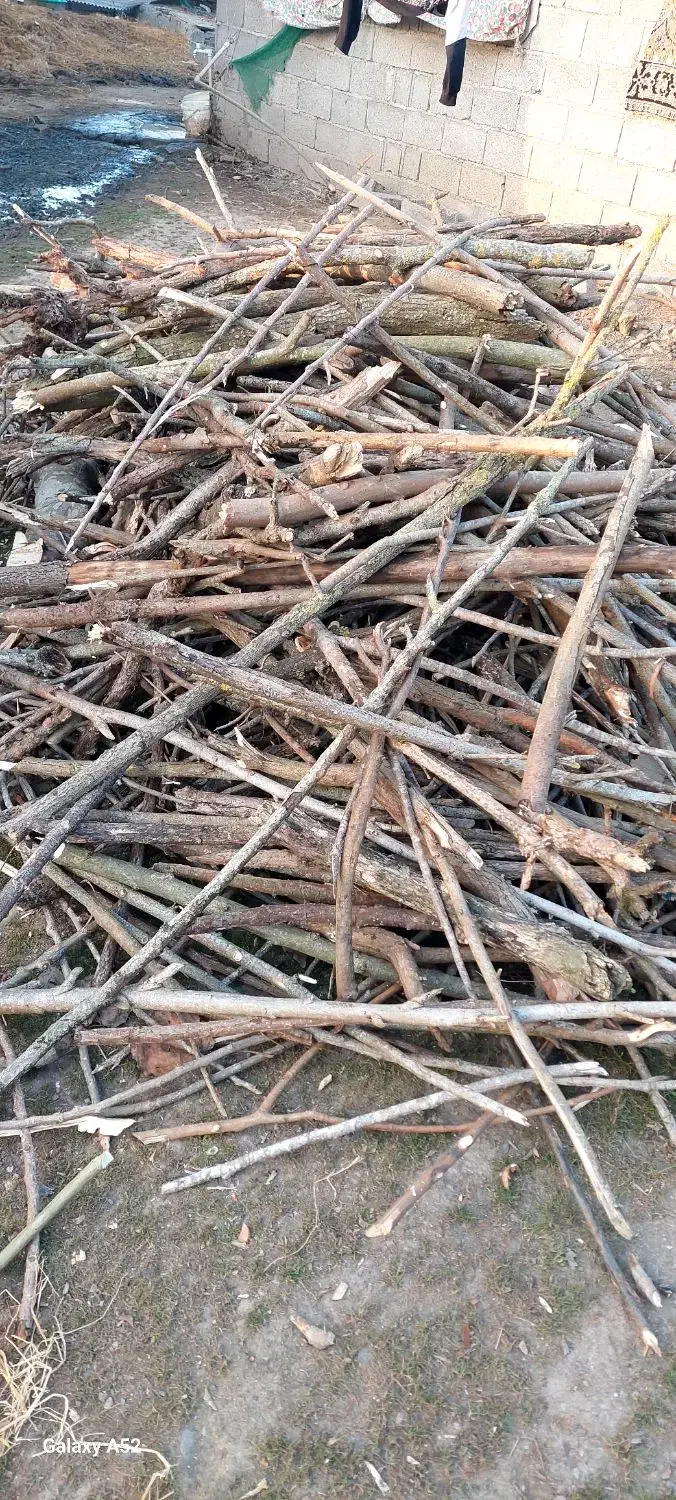 ضایعات چوب|خدمات پیشه و مهارت|رودبنه, |دیوار