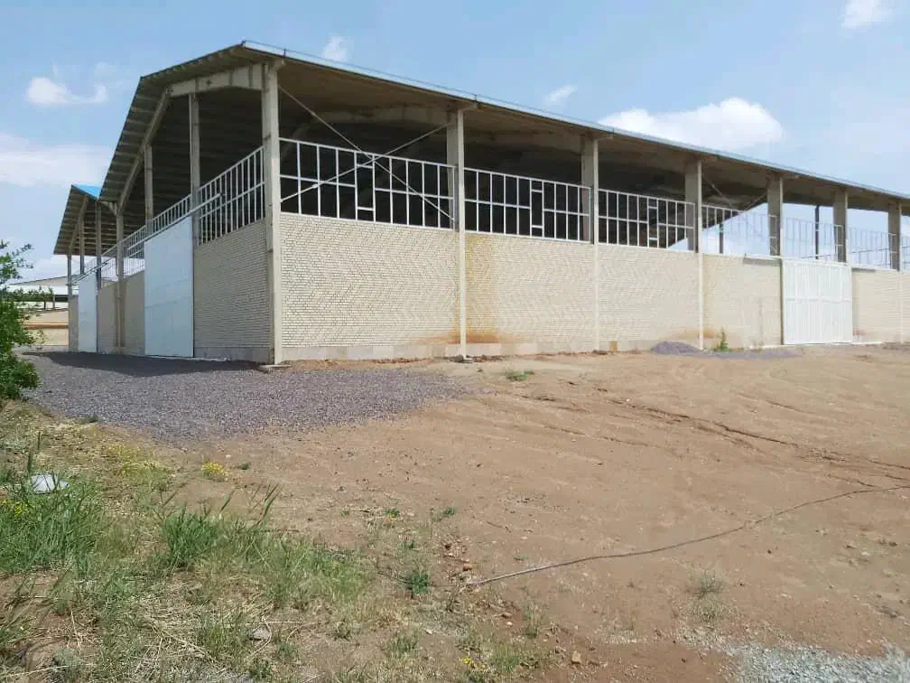 اجاره سوله۴۰۰۰م برق۳۲۰ کد۲۰۴۳|اجارهٔ دفتر صنعتی، کشاورزی، تجاری|زاویه, |دیوار