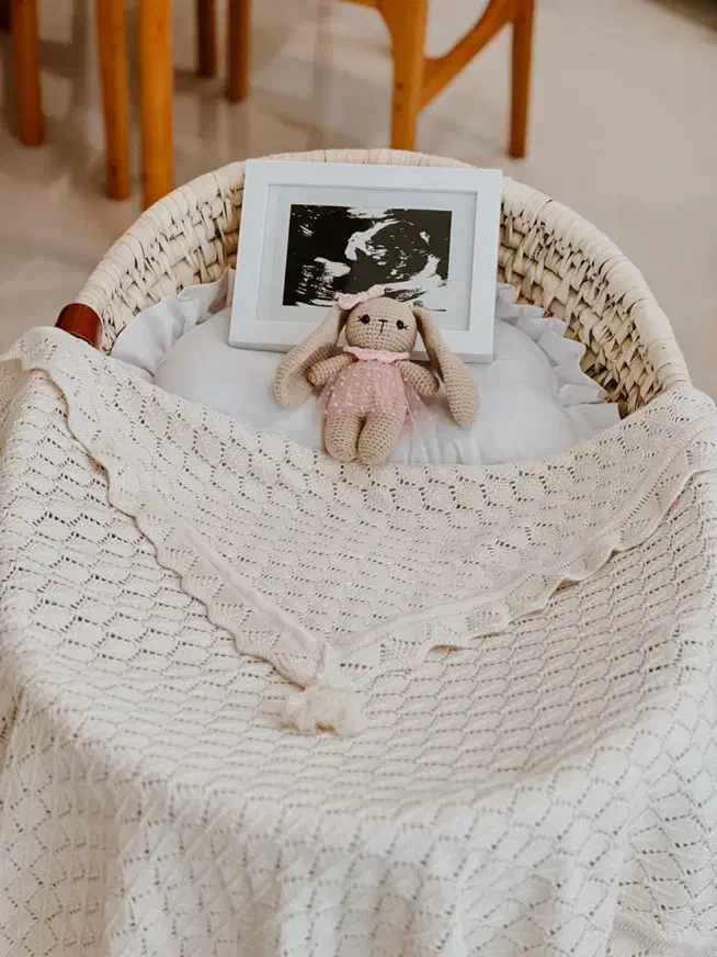 گهواره کناره تختی نوزادی|تخت و صندلی بچه|رشت, دیلمان|دیوار