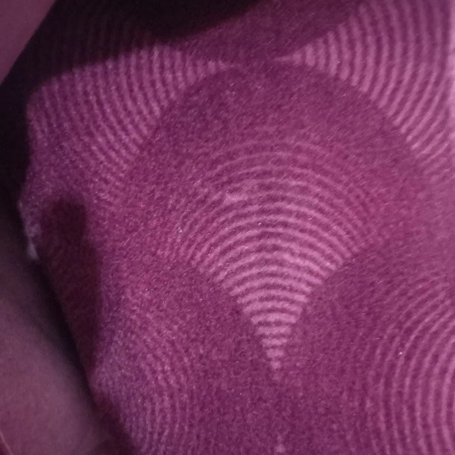 موکت|موکت|قزوین, |دیوار