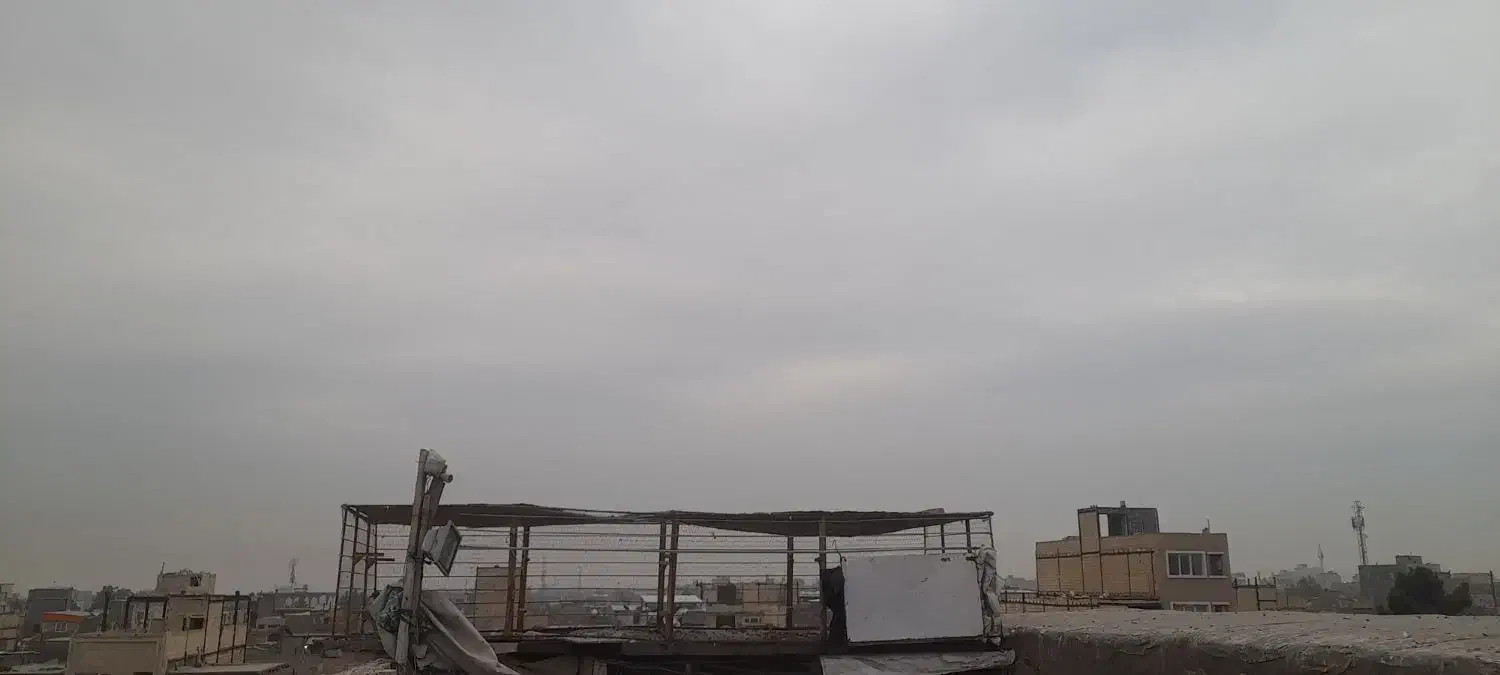 قفس طوری بالا چخ|لوازم جانبی حیوانات|مشهد, رده|دیوار