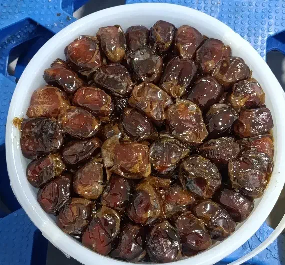 خرمای گنتار سطل ۲کیلویی عمده و جزئی|خوردنی و آشامیدنی|اهواز, کوی شاهد|دیوار