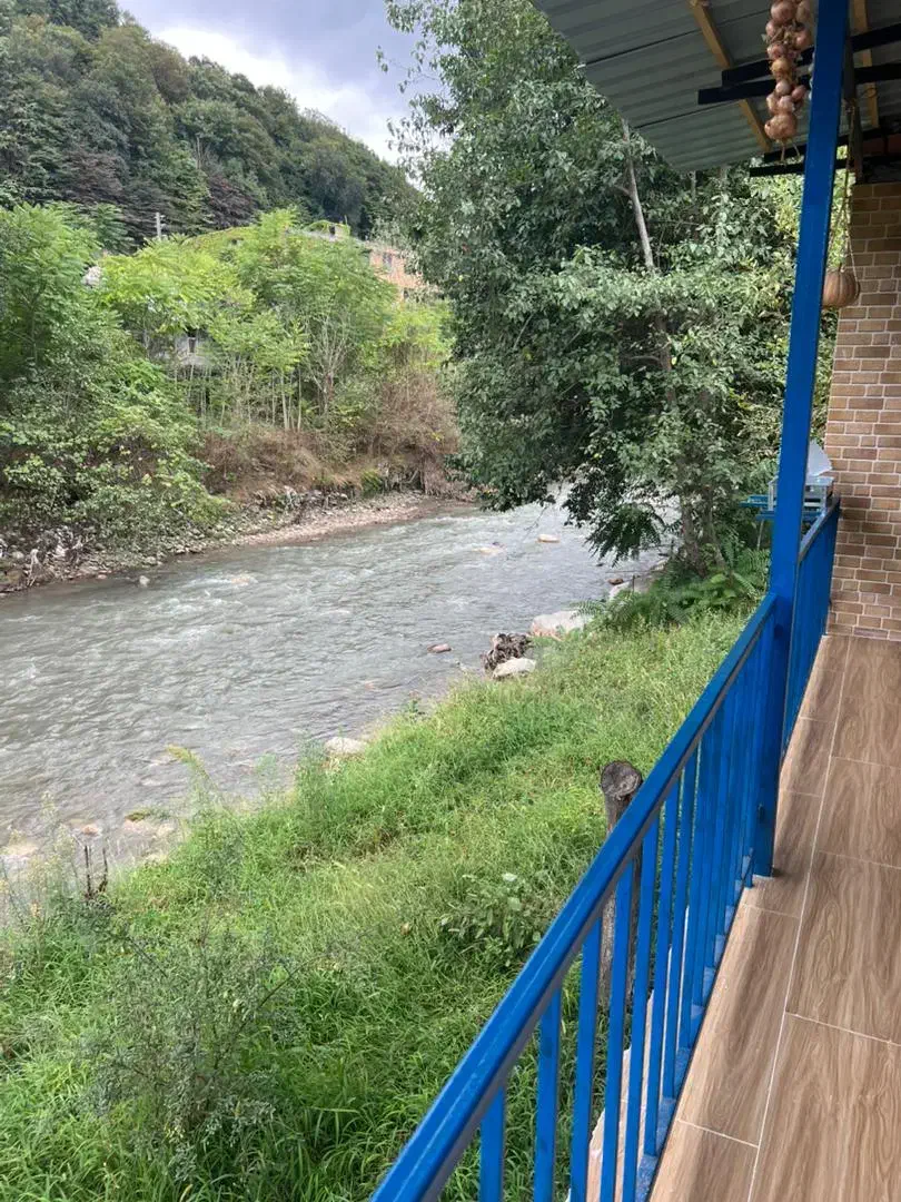 کلبه دربستی با ویو جنگل و رودخانه|اجارهٔ کوتاهمدت ویلا و باغ|چالوس, |دیوار