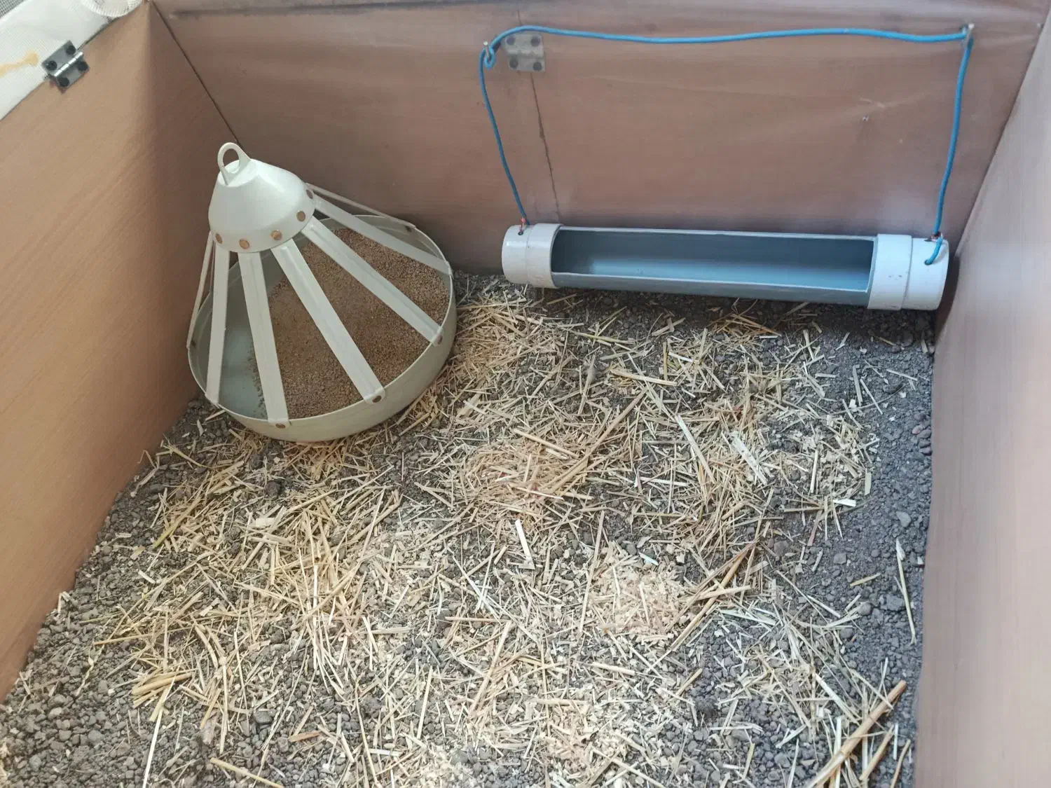 قفس|لوازم جانبی حیوانات|مشهد, چاهشک|دیوار