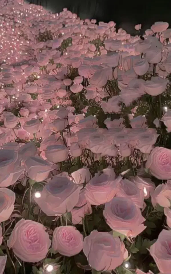 سرویس مدارس در بروات|خدمات حمل و نقل|بم, |دیوار