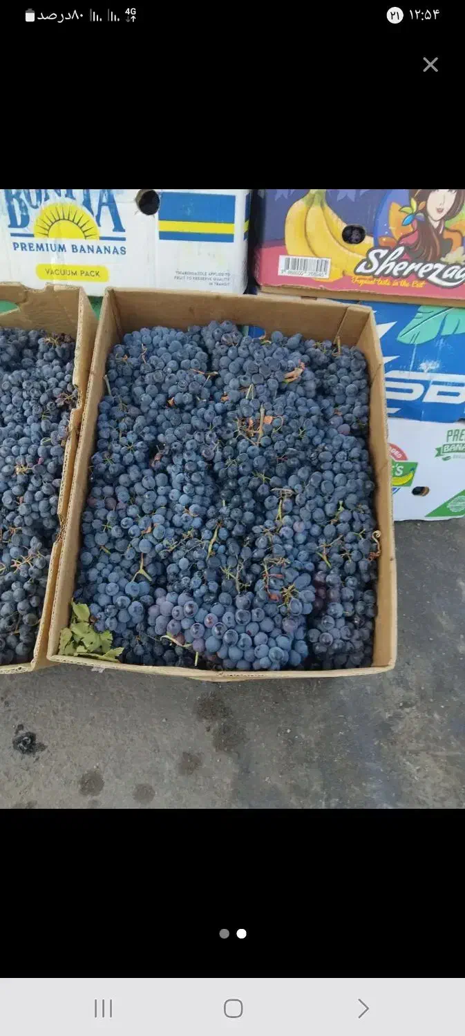 آب انگور دیم|خوردنی و آشامیدنی|گیان, |دیوار