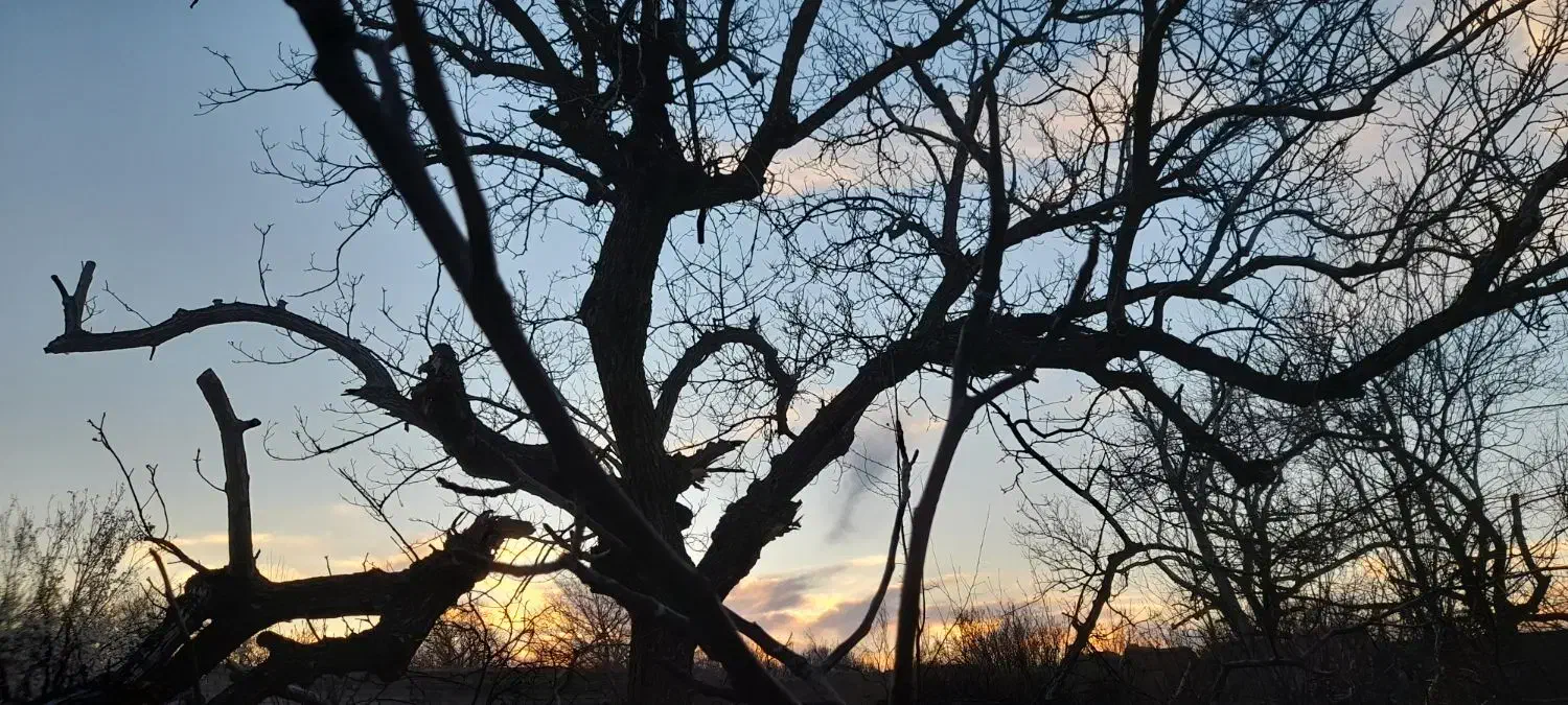 پژو پارس tu5 اتومات بدون رنگ|خودرو سواری و وانت|کرمان, |دیوار