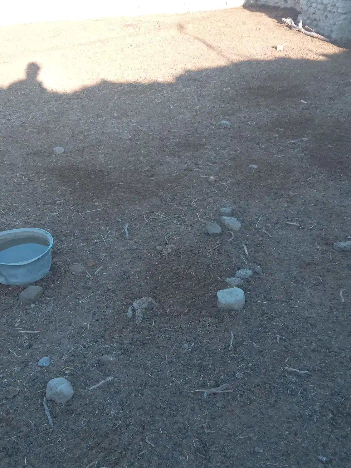 سلام|خدمات باغبانی و درختکاری|ارطه, |دیوار