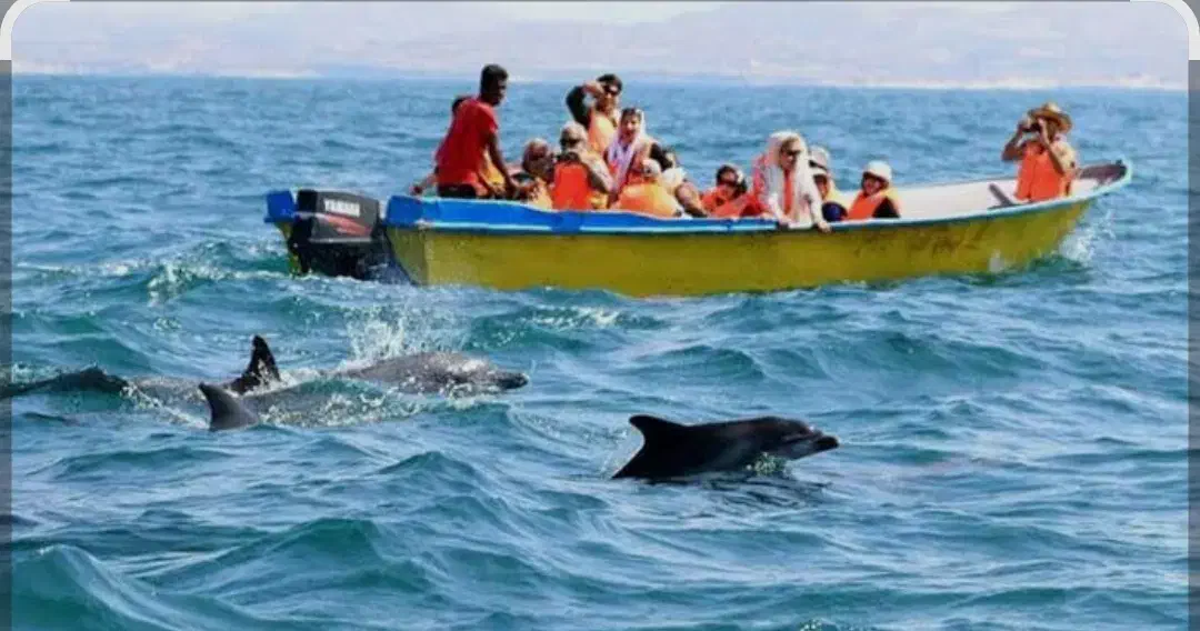 تور گشت جزیره هفتگانه قشم با خودرو هایلوکس|تور و چارتر|قشم, |دیوار