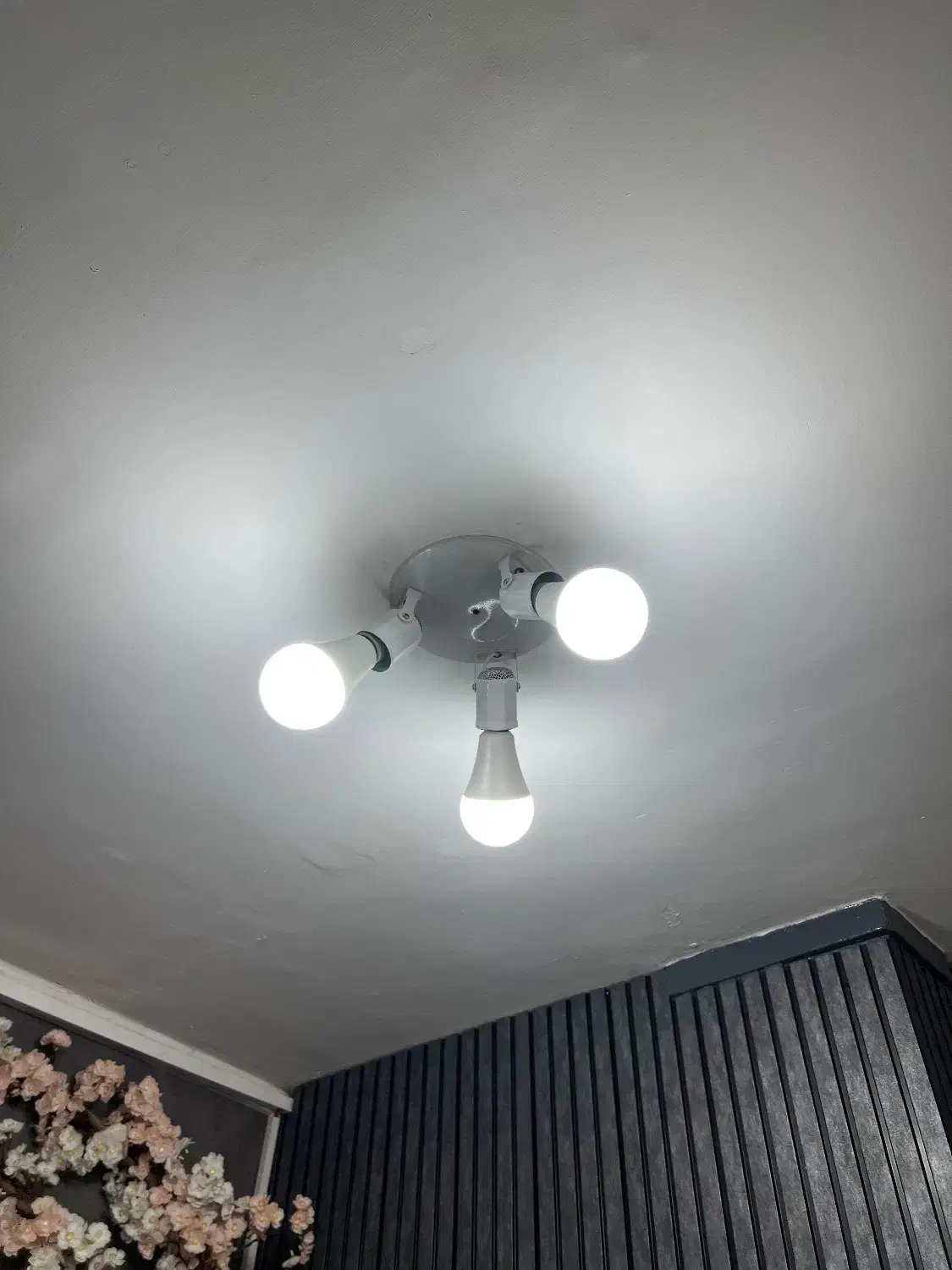 یه تعداد کلید پریز و لامپ و سه شعله و سیم کشی برق|مصالح و تجهیزات ساختمان|فومن, |دیوار