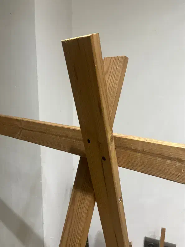 رگال لباس|جاکفشی، کمد، دراور|رشت, کاکتوس|دیوار