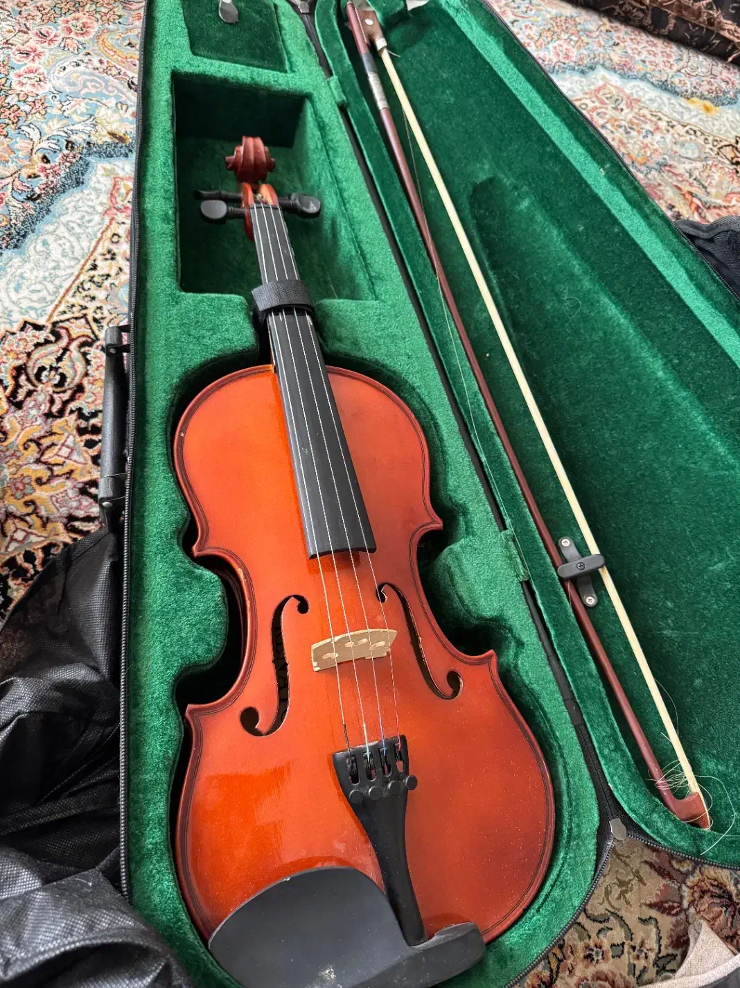 ویولن کم کار|ویولن|کرمان, |دیوار