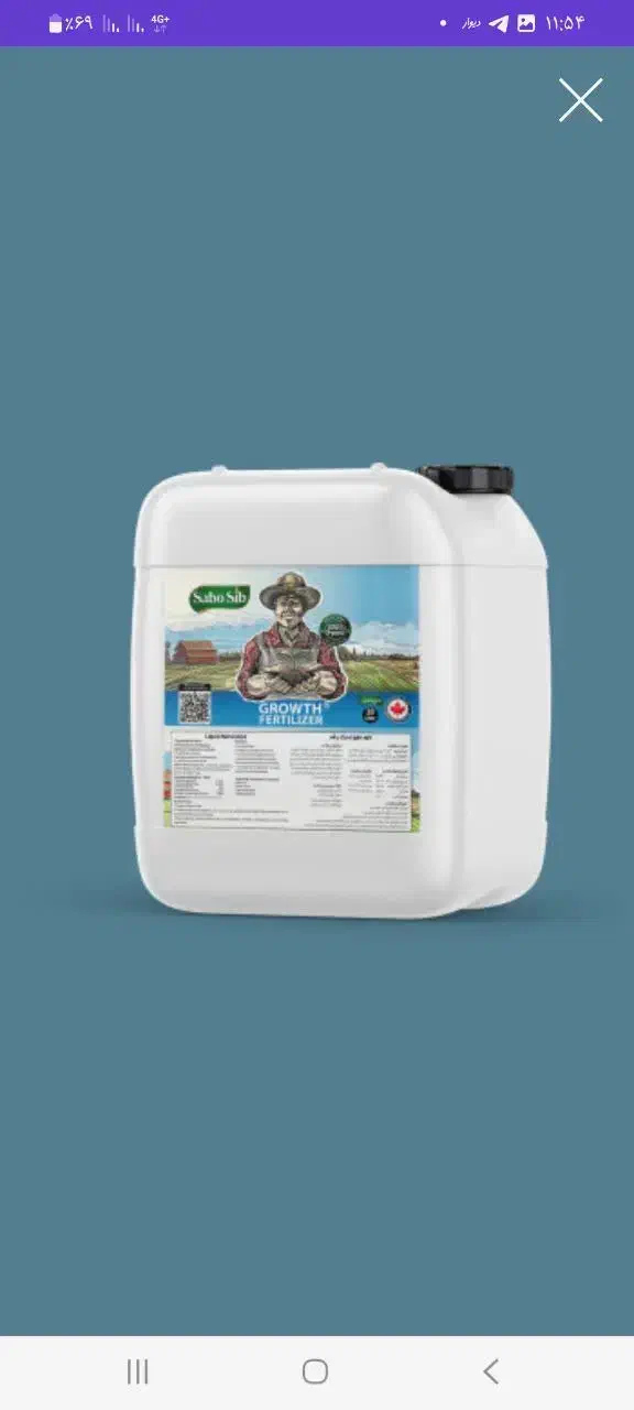 گود آلی  سی بیست سبو سیب|خدمات باغبانی و درختکاری|فردوسیه, |دیوار