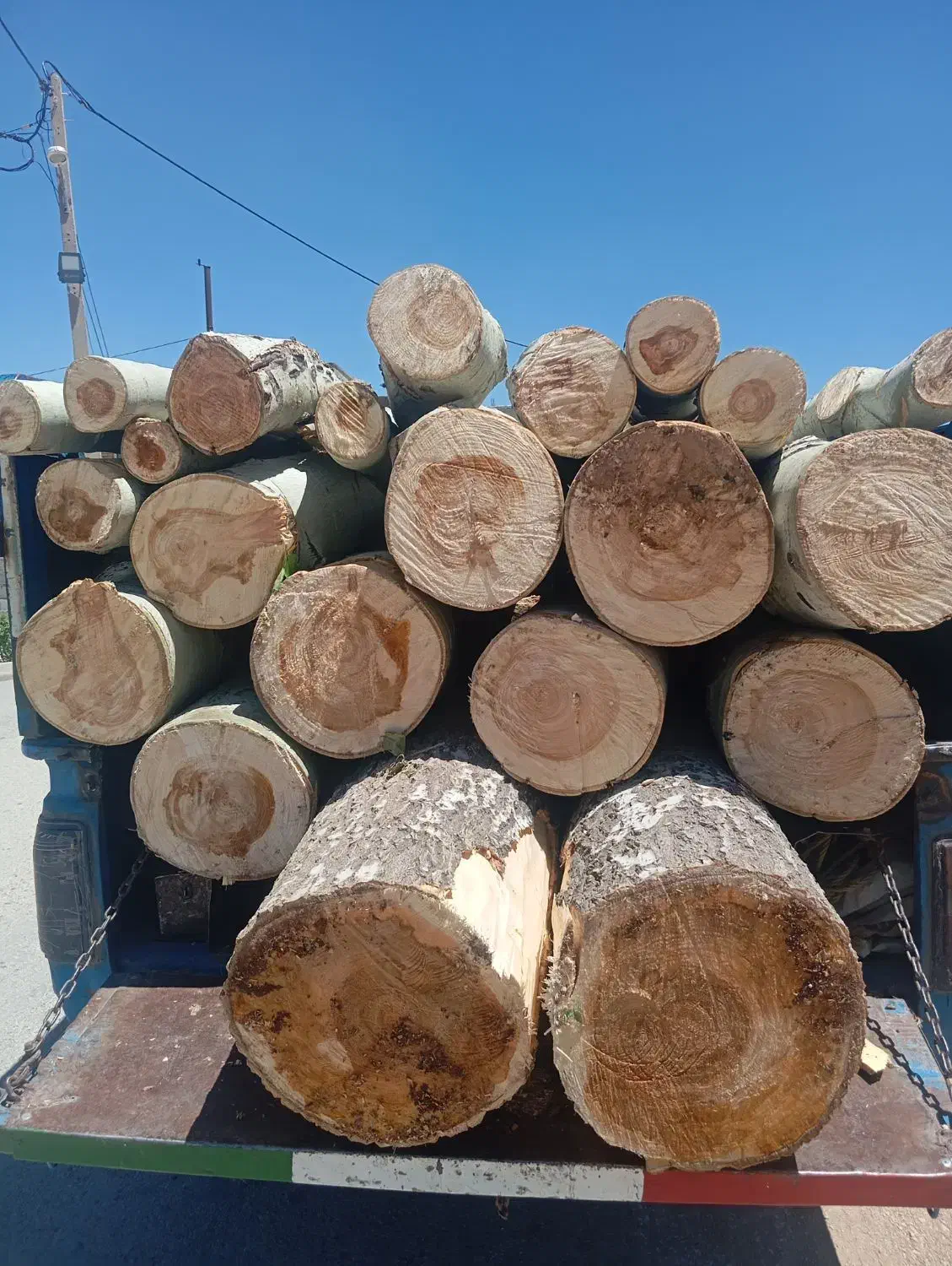 چوب|خدمات پیشه و مهارت|بن, |دیوار