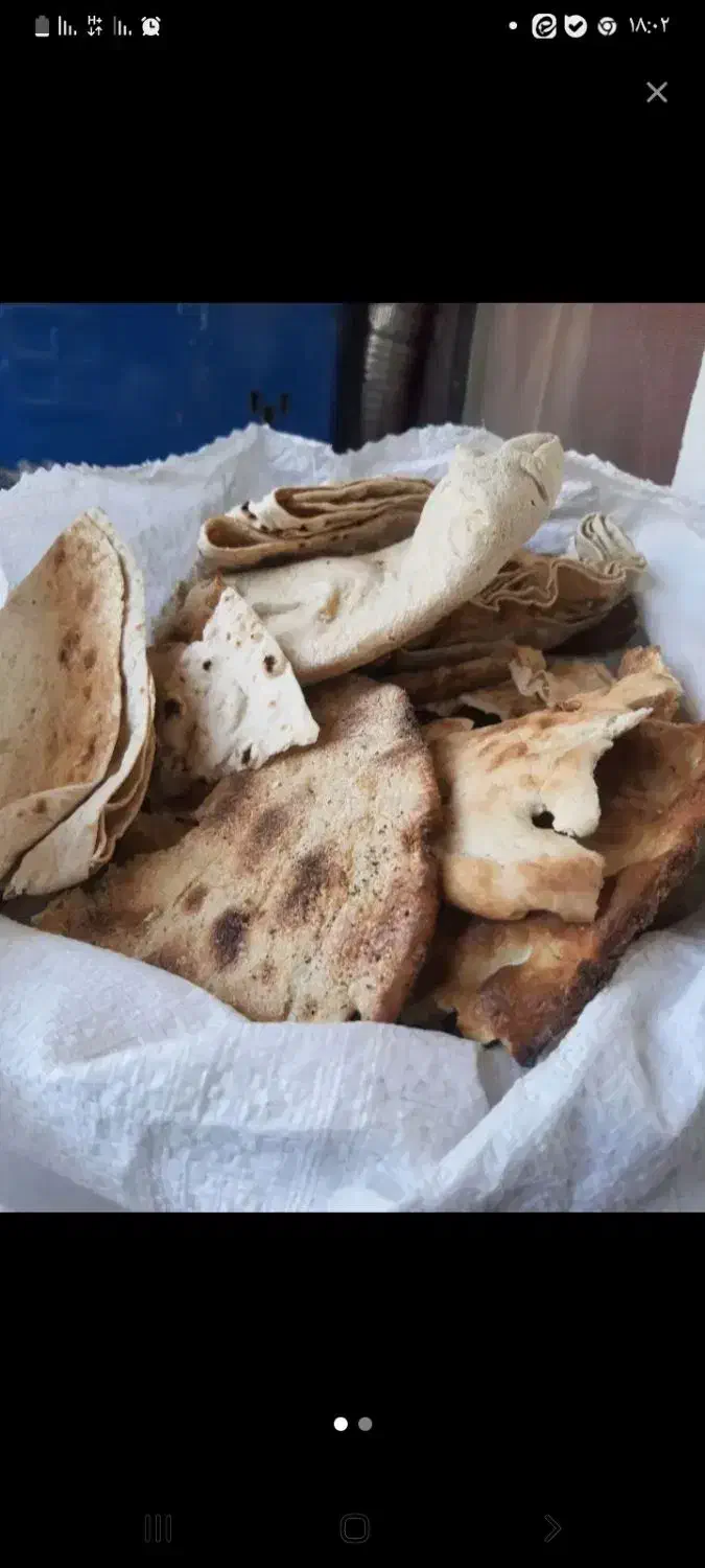 نان خشک دامی درجه ۱|لوازم جانبی حیوانات|میبد, |دیوار