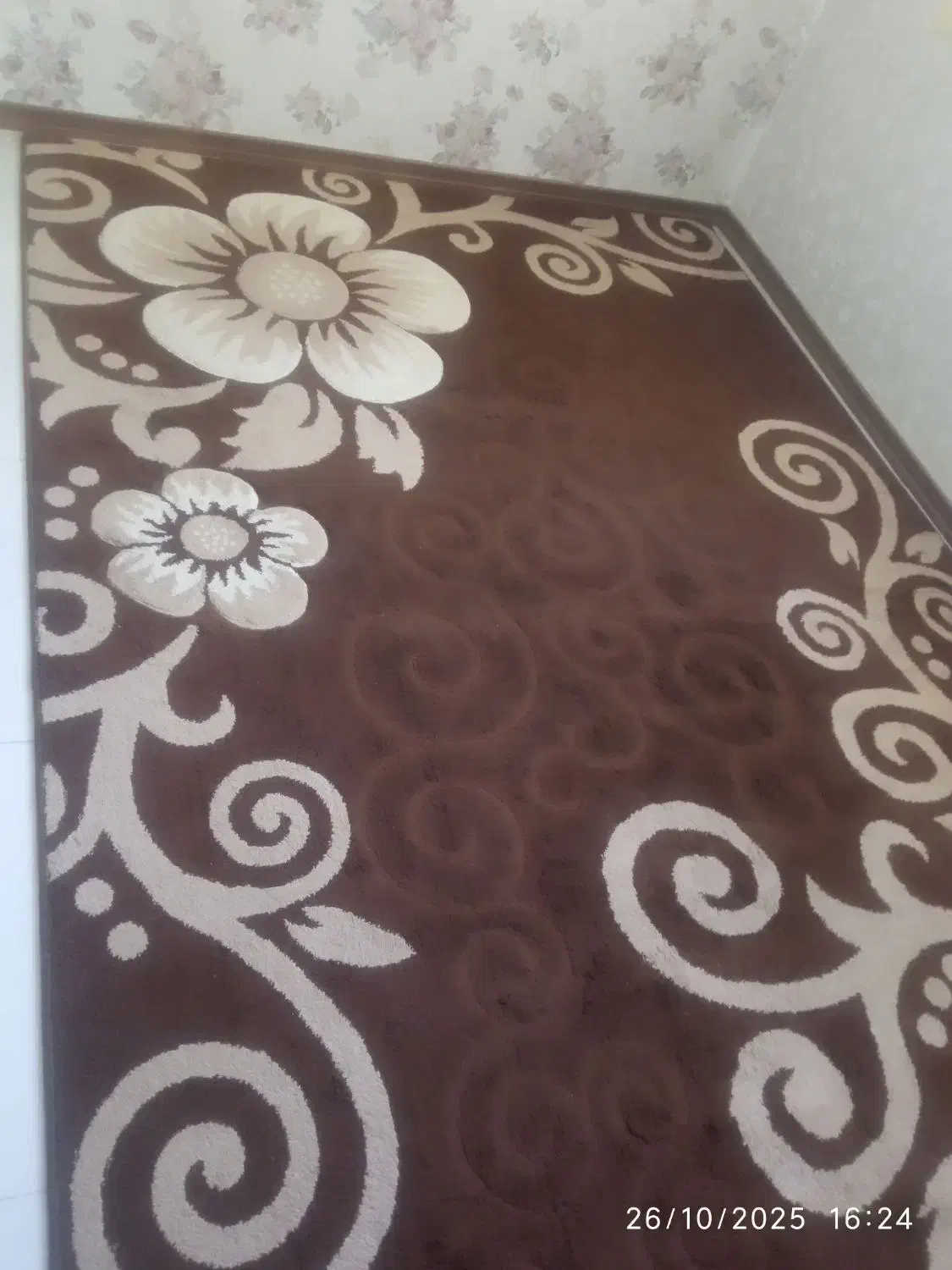 گلیم فرش ۶ متری|گلیم، جاجیم، گبه|مشکیندشت, |دیوار