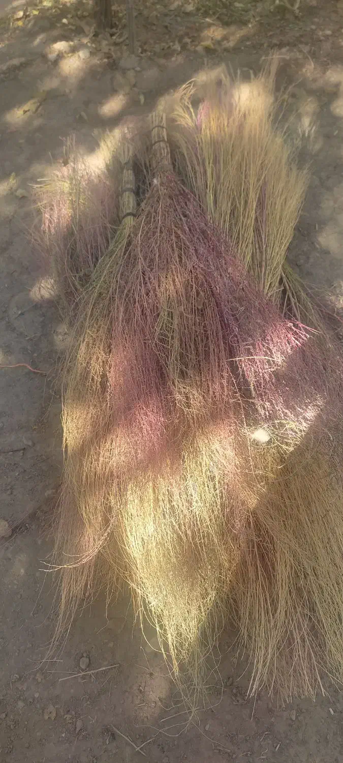 جارو بزرگ|لوازم نظافت|قیدار, |دیوار