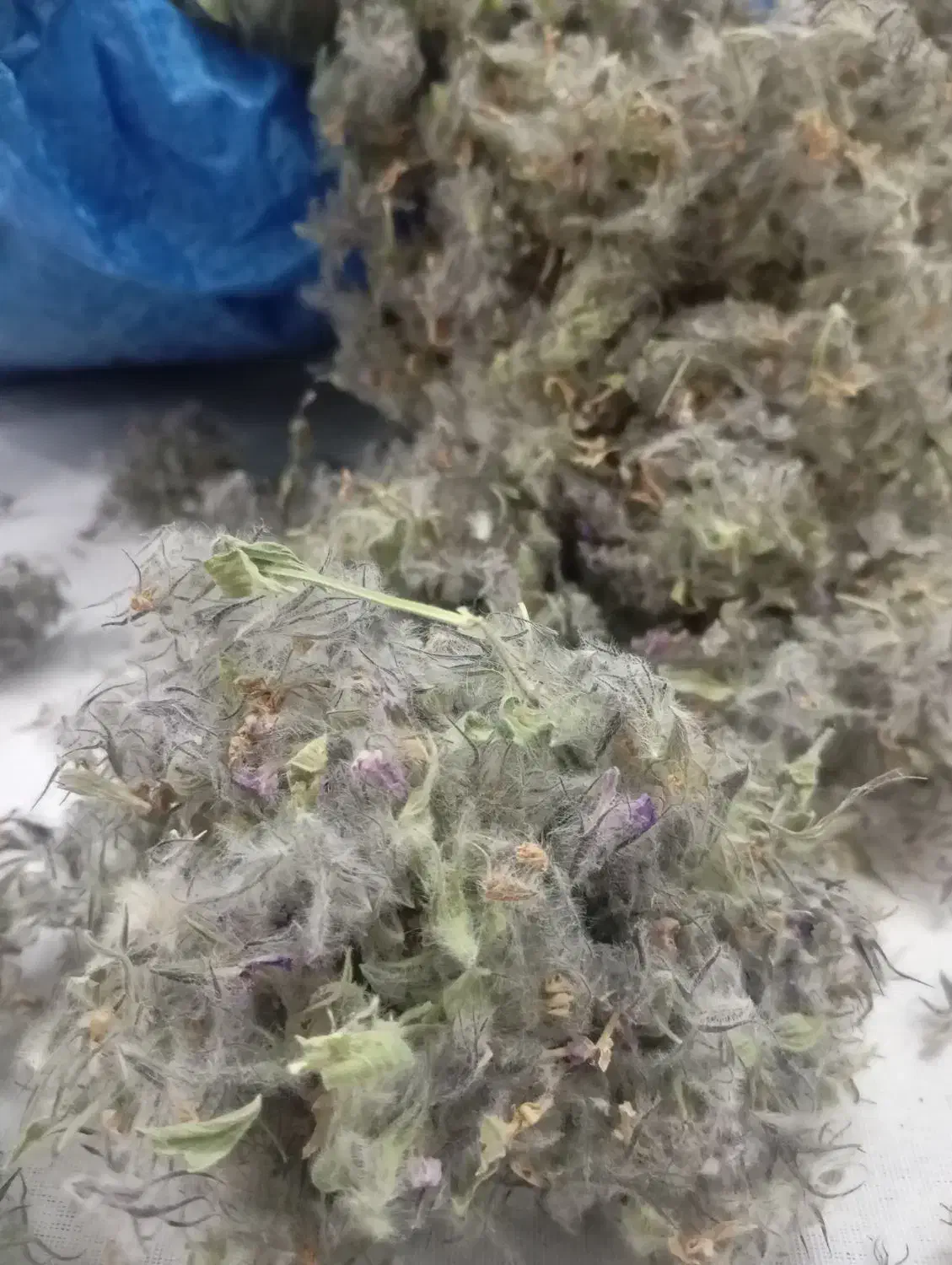 فروش اسطوخودوس و کاکوتی دمنوش گیاهی|آرایشی، بهداشتی، درمانی|پردیس, فاز ۱۱|دیوار