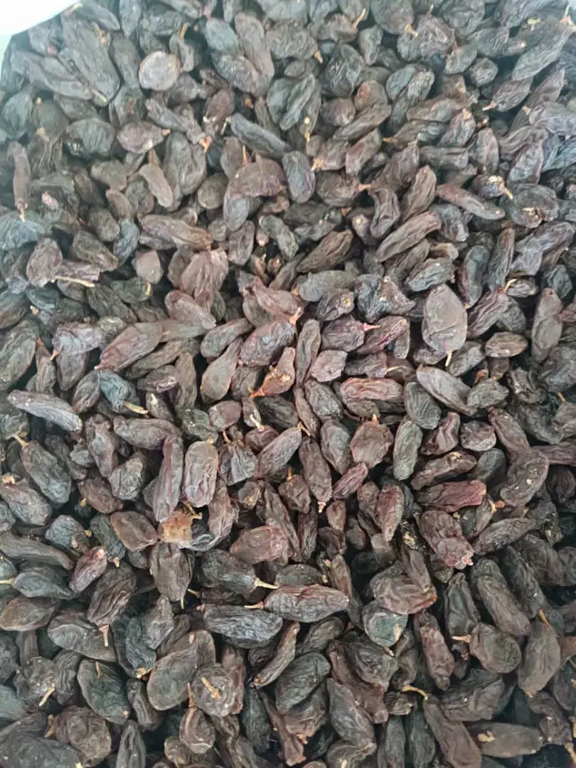 کشمش مویز|خوردنی و آشامیدنی|شیراز, میانرود|دیوار