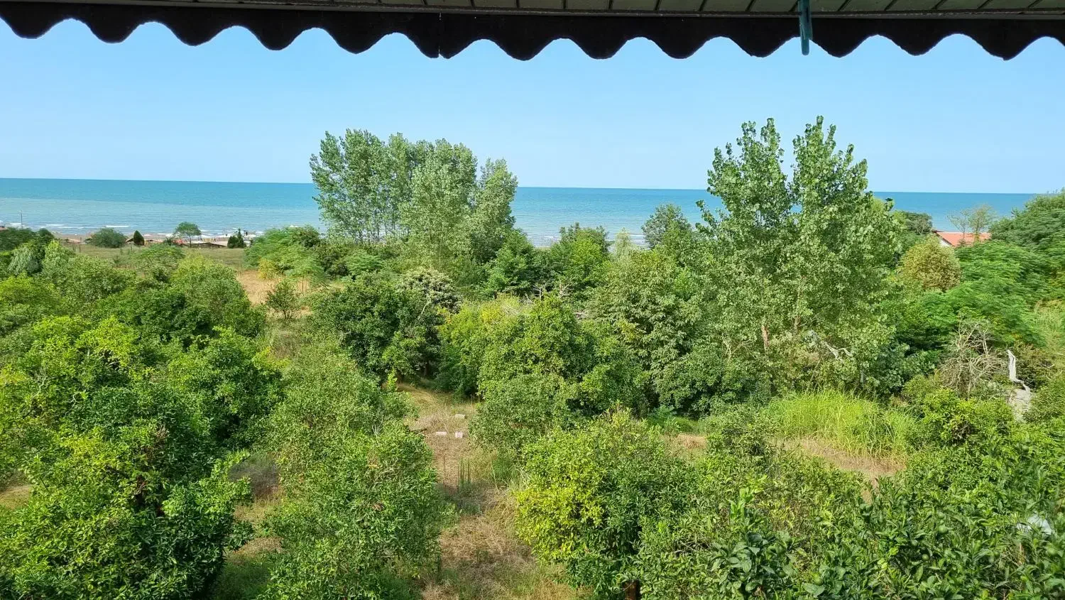 تک خوابه نوساز ساحلی ویو دریا تنکابن|اجارهٔ کوتاهمدت ویلا و باغ|تنکابن, |دیوار