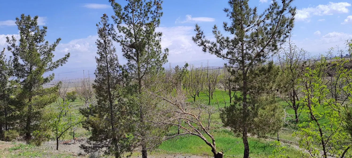 تصویر 14