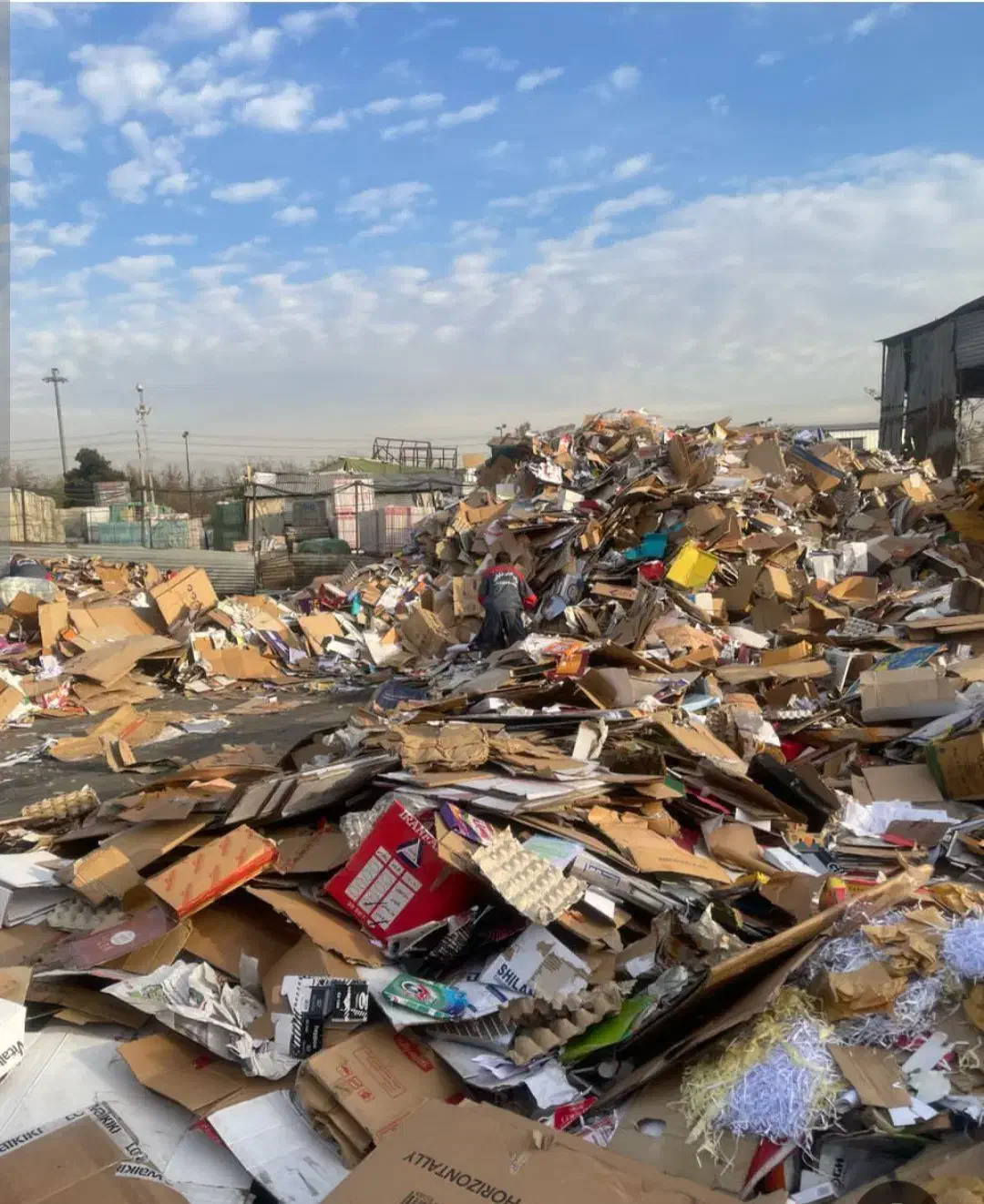 خرید ضایعات کارتن وکاغذ قیمت روز|عمده‌فروشی|تبریز, |دیوار