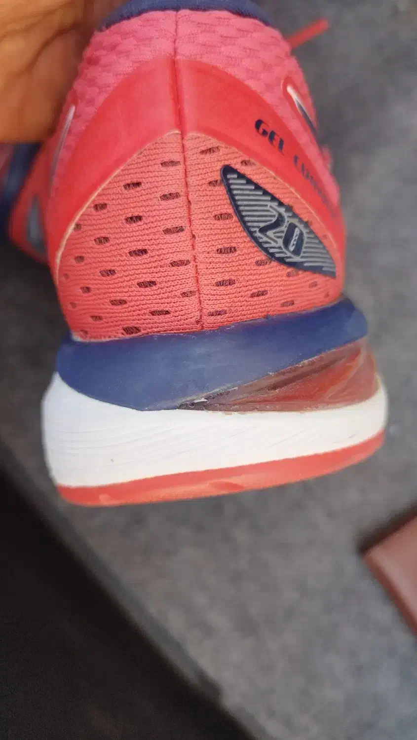 کتونی اورجینال اصل اندونزی|کیف، کفش، کمربند|میاندوآب, |دیوار