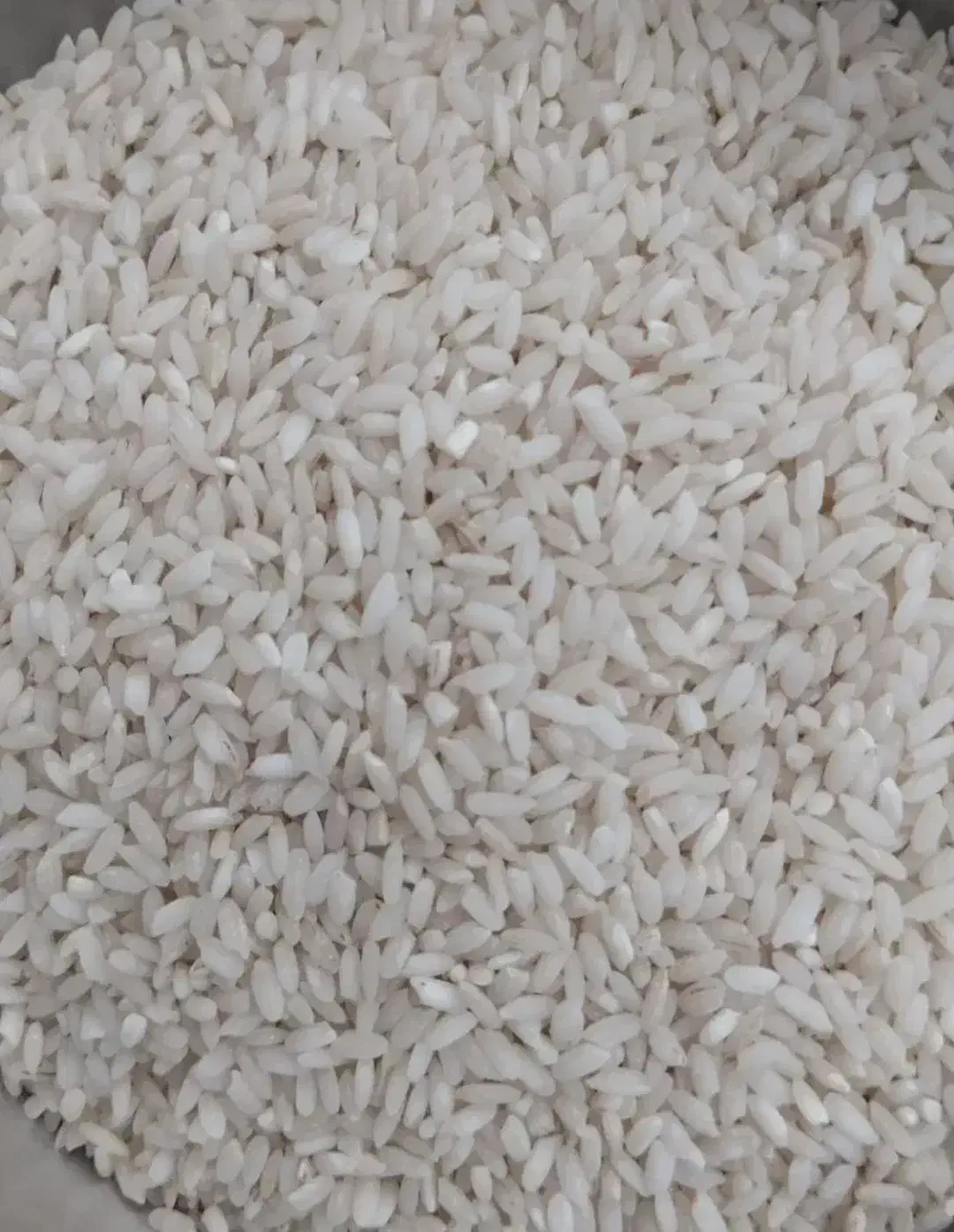 برنج شمشیری|خوردنی و آشامیدنی|شباب, |دیوار