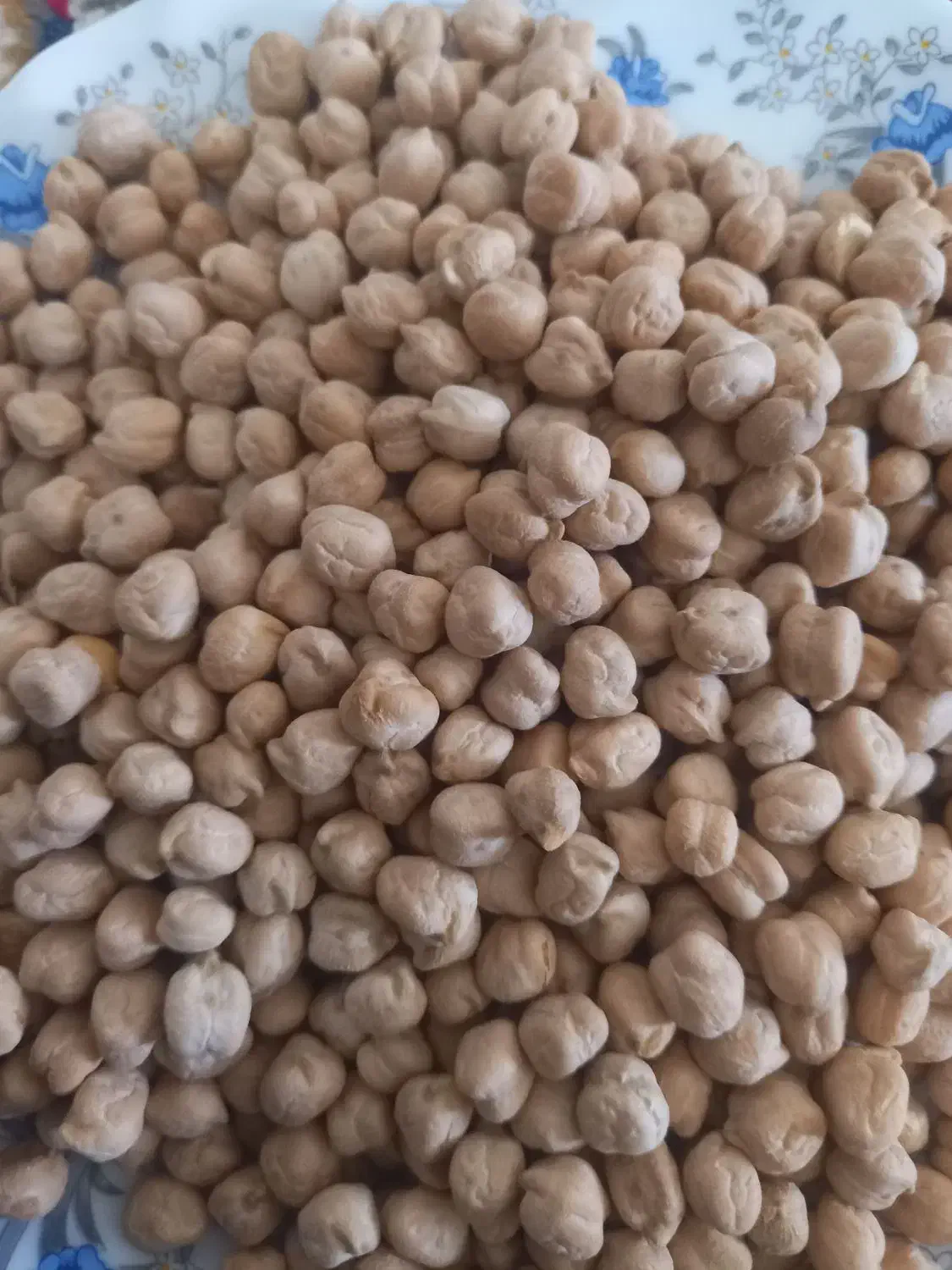 حبوبات|خوردنی و آشامیدنی|سردرود, |دیوار