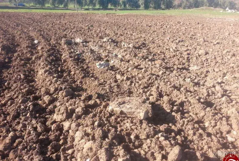 شخم زنی تراکتور|خدمات باغبانی و درختکاری|تبریز, |دیوار