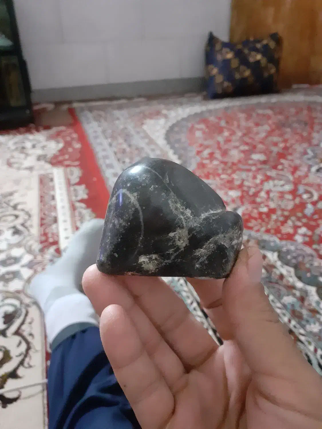 یک عددفسیل جا نوری طبیعی|کلکسیون اشیاء عتیقه|اشتهارد, |دیوار