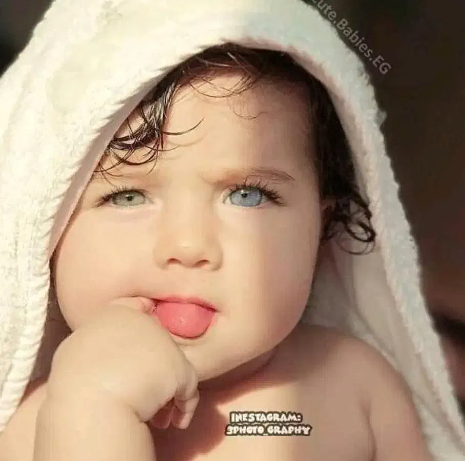 رحم اجاره ای|فعالیت داوطلبانه تحقیقاتی|تبریز, |دیوار