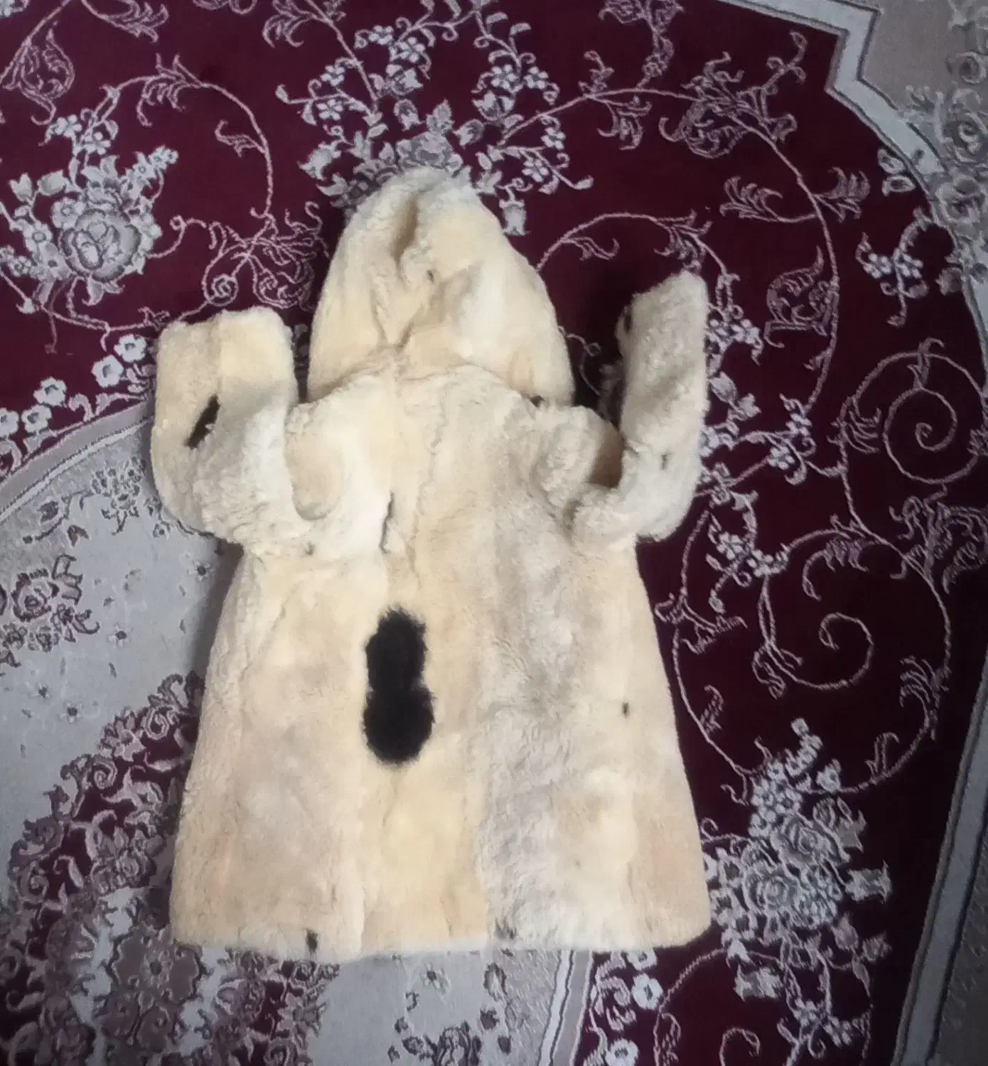 پالتو|کفش و لباس بچه|رشت, کوی مهر|دیوار