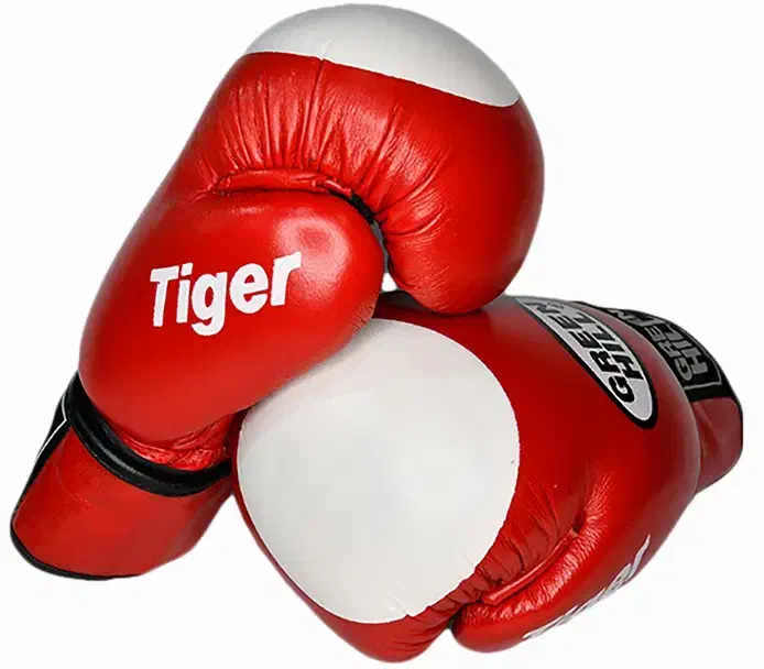 دستکش و کفش بوکس|تجهیزات ورزشی|نی‌ریز, |دیوار