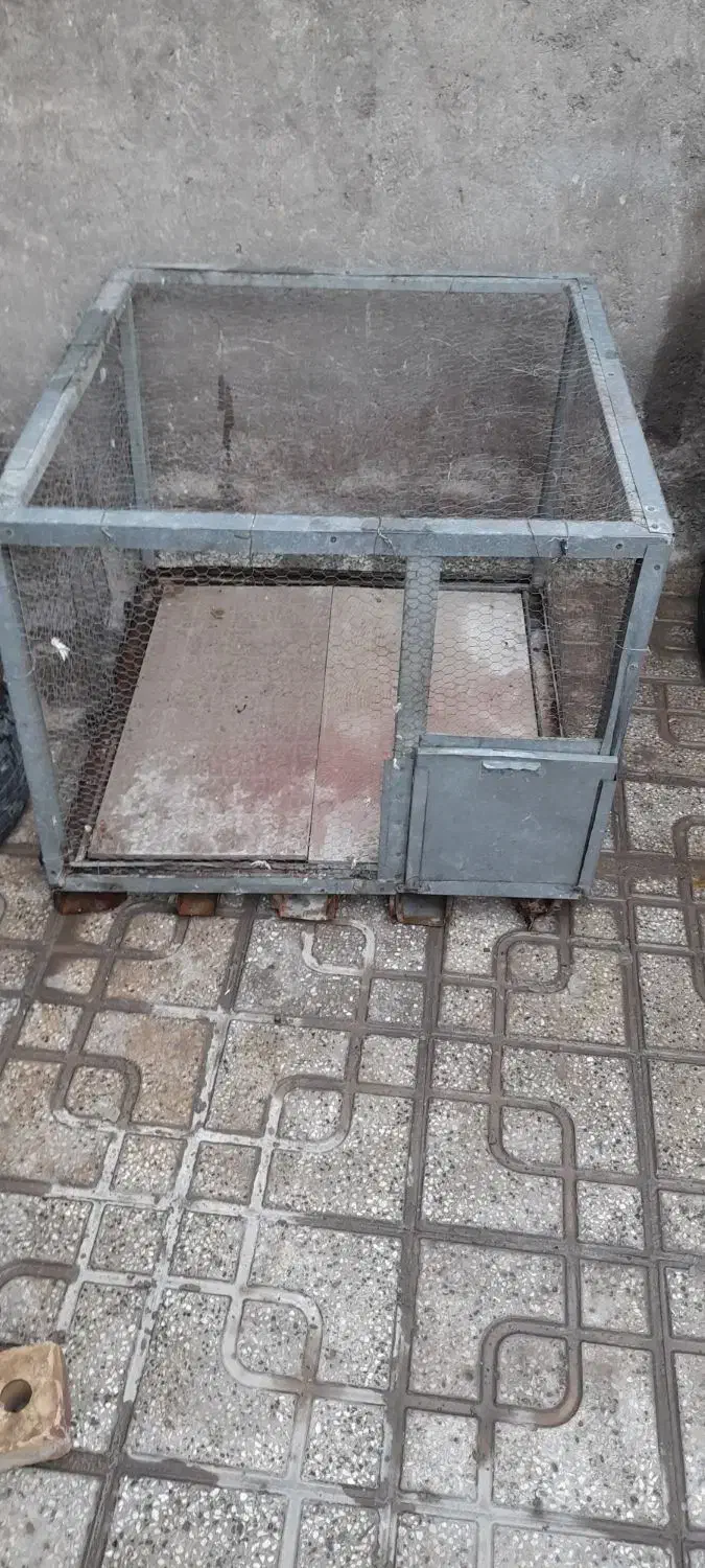 قفس|لوازم جانبی حیوانات|تربتحیدریه, پائین ولایت|دیوار